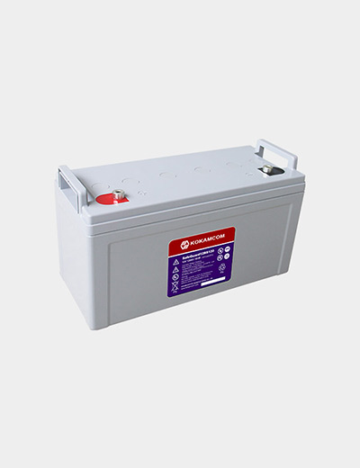 SafeGuard 12V BS Series